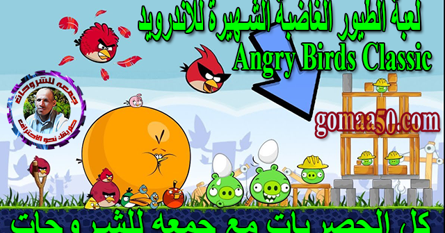 تحميل لعبة الطيور الغاضبة Angry Birds للكمبيوتر والموبايل مجانا Professional