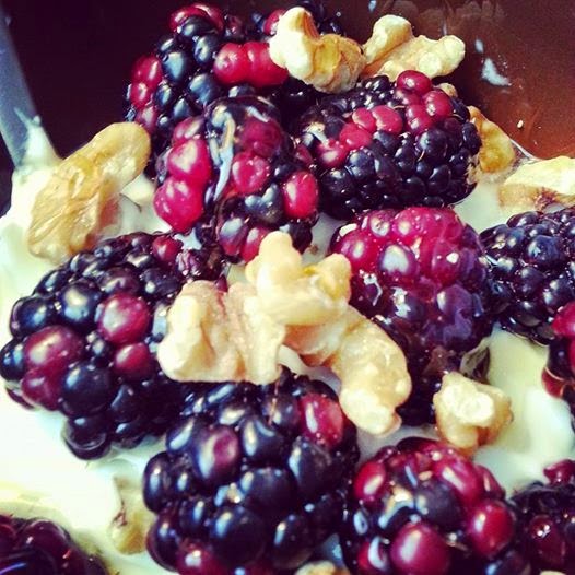 Fitness Food and FIRE High Protein Snack Greek Yogurt with Berries