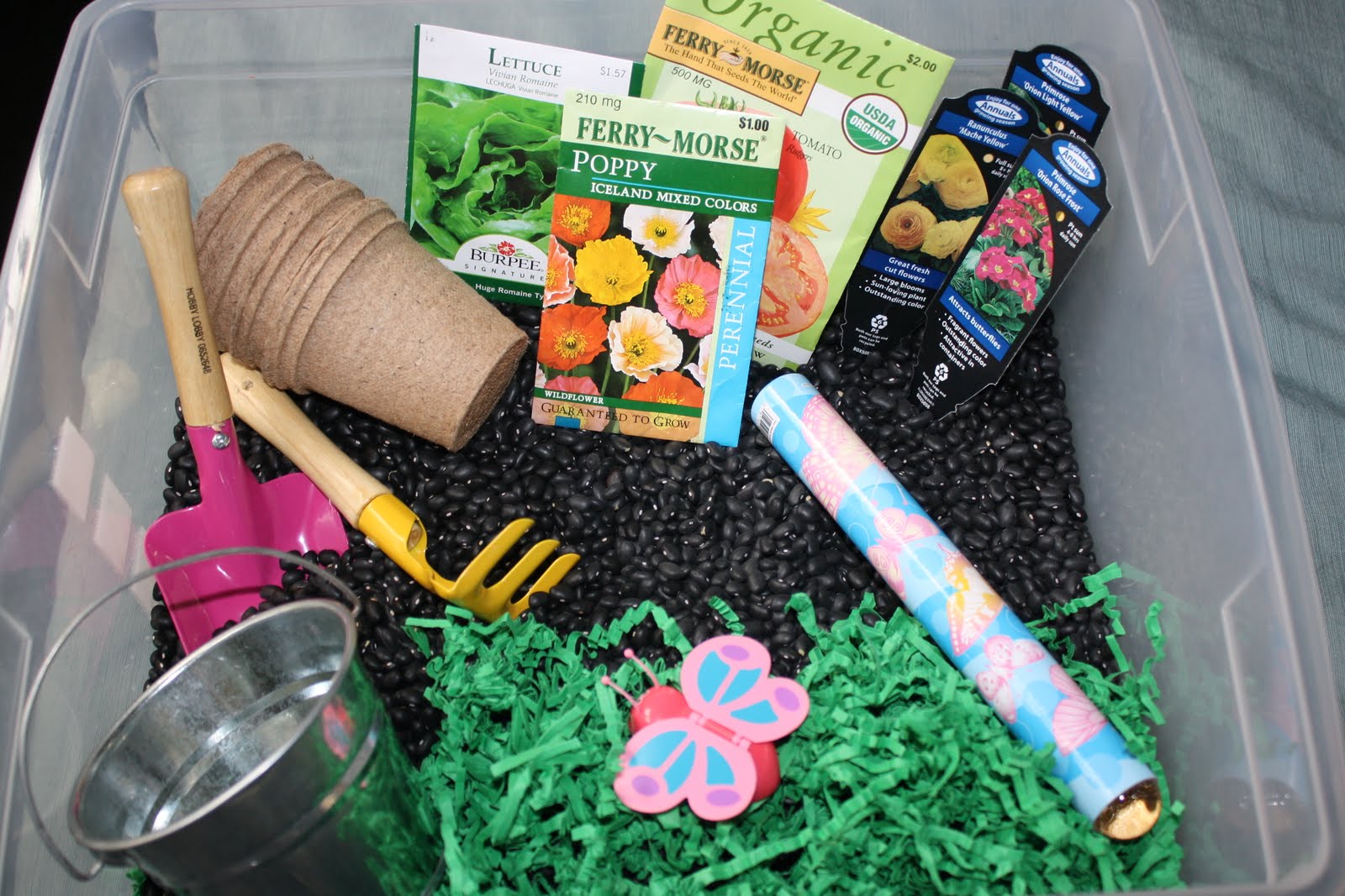 academy at thousand oaks: Preschool Corner *Friday's Nature Table