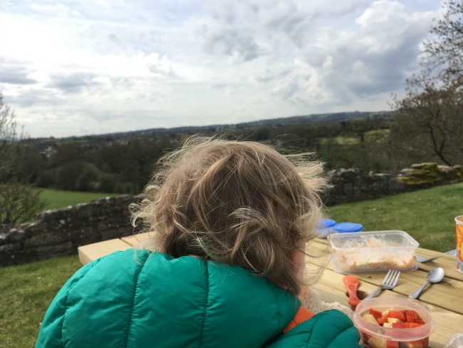 Back of toddlers head with view to the distance