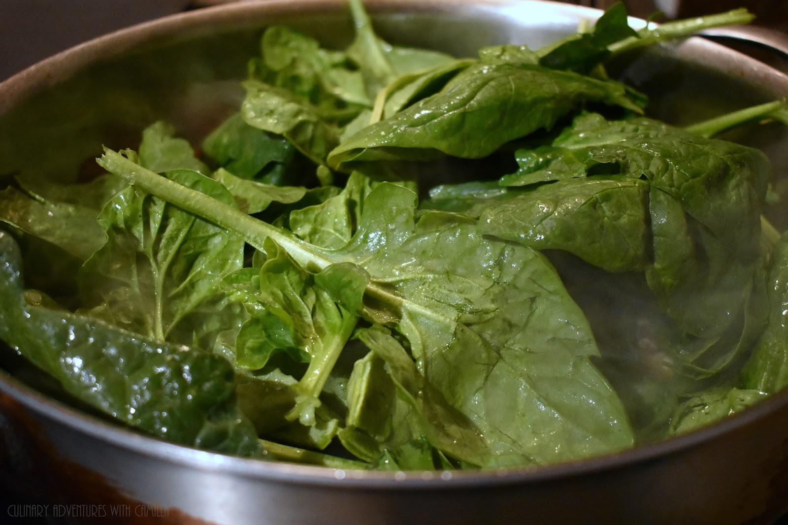 what-to-drink-with-what-you-eat-foodiereads