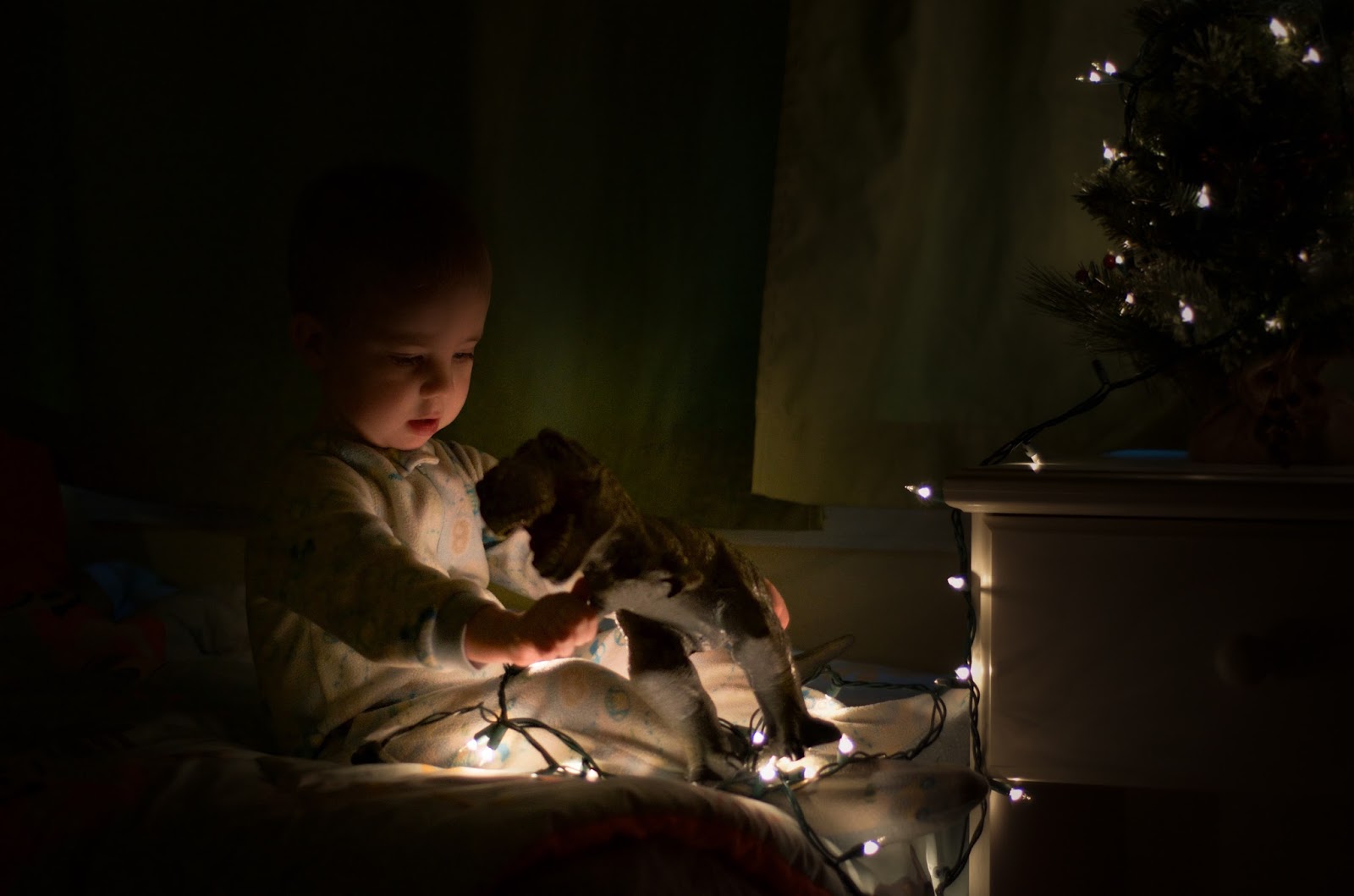 Brittney Owens Photography: Christmas UN decorating {Fort Smith AR ...