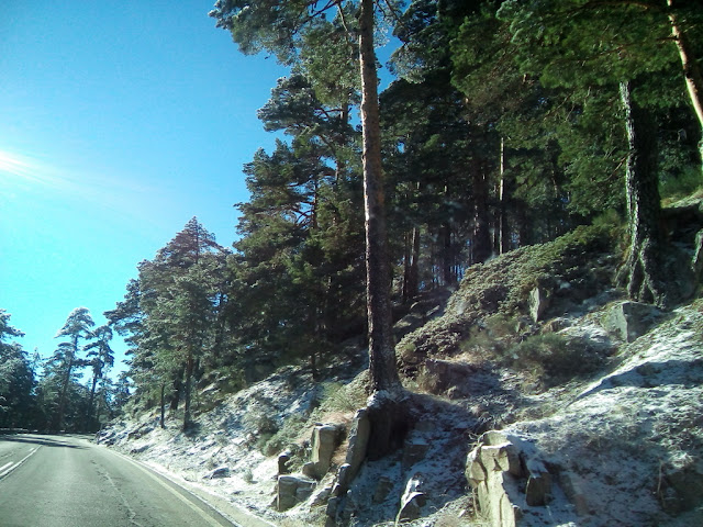 Parque Nacional de la Sierra de Guadarrama.