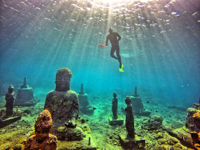 diving di nusa penida diving dan snorkeling di nusa penida