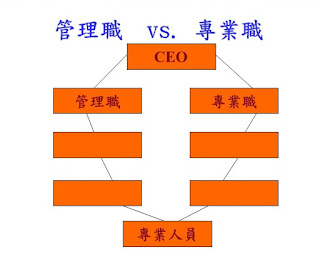 升遷制度有解嗎 ？ 雙生涯職涯路徑體系 (dual career path system)在台灣應用的盲點與限制-HR