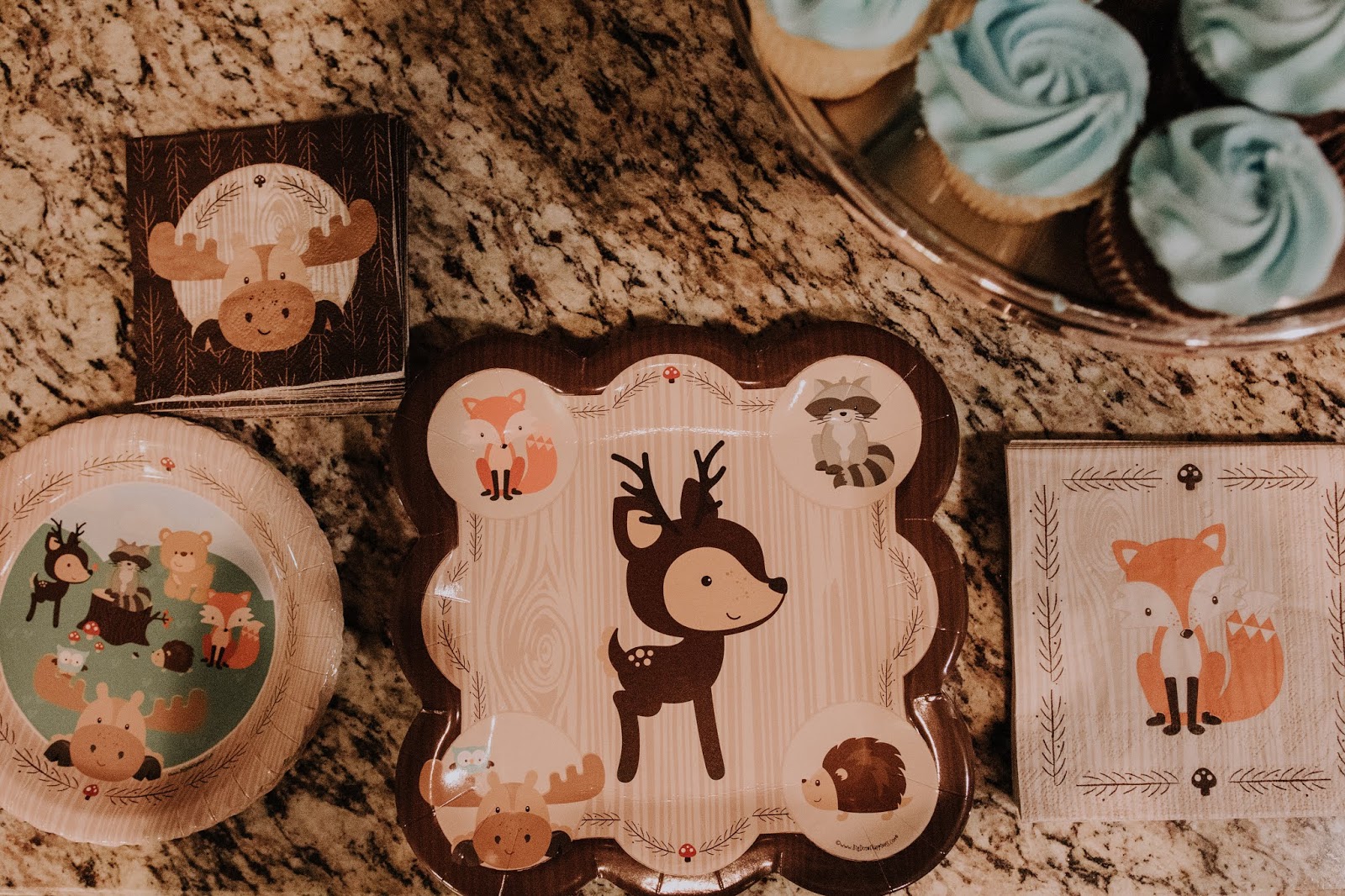 From Britt's Eye View Sarah's Baby Shower in Oklahoma City