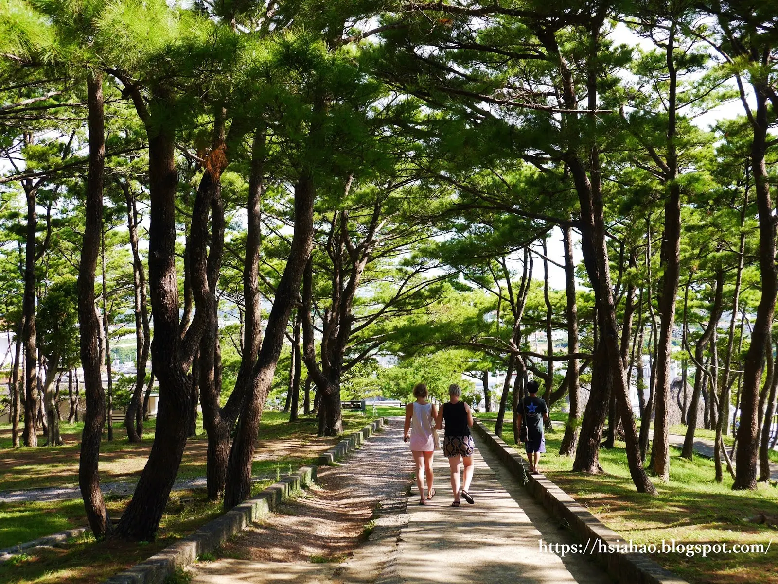 沖繩-推薦-景點-座喜味城跡-自由行-旅遊-Okinawa-Yomitan-Zakimi-Castle-Ruins