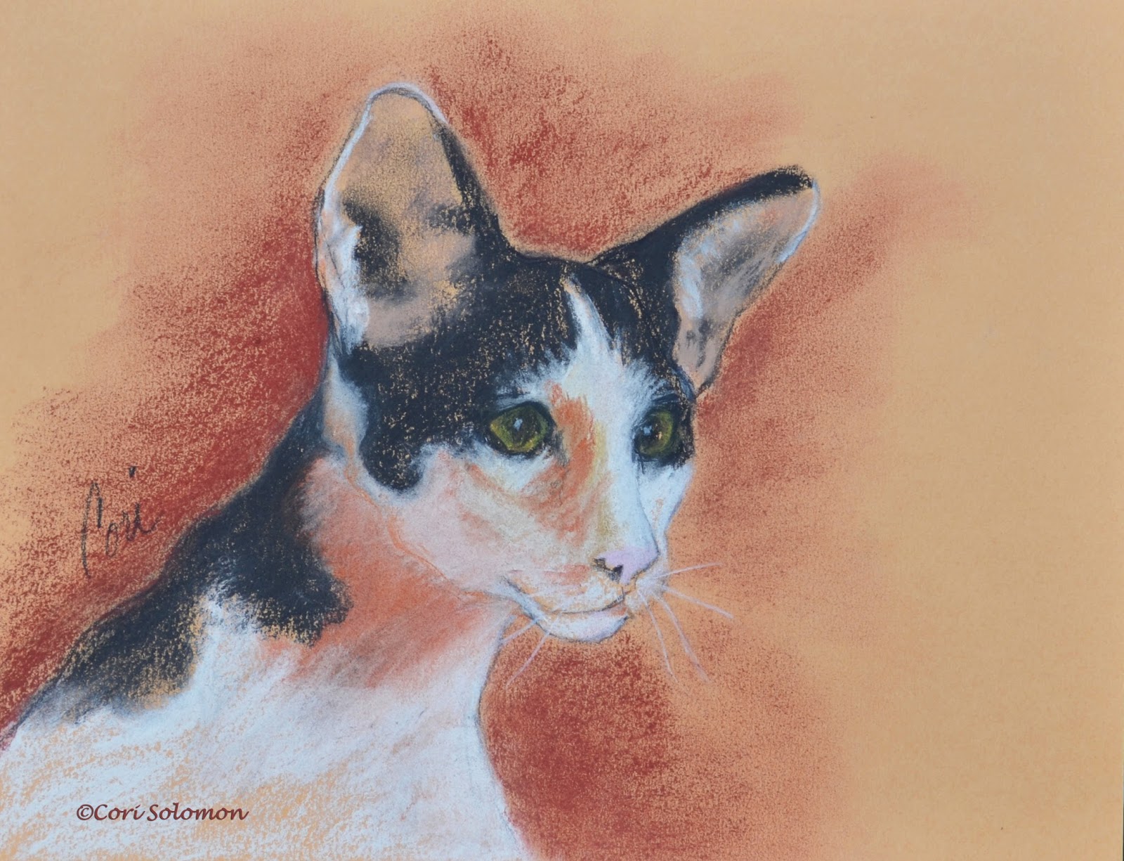Cori S Pawtraits Animal Art By Cori Solomon Oriental Shorthair