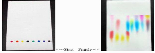 Secluded Kromatografi Kertas