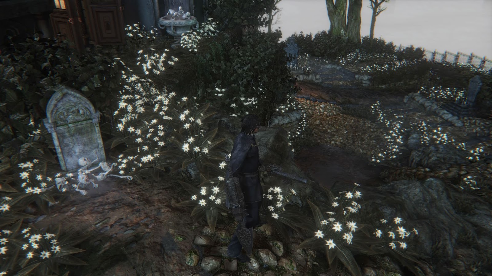 Flowers in Hunter's Dream Bloodborne Wiki