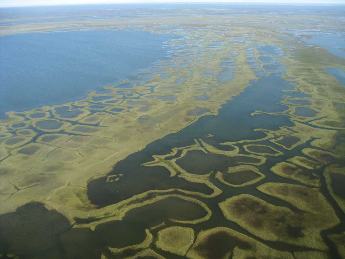 Learning Geology Coasts and beaches geology