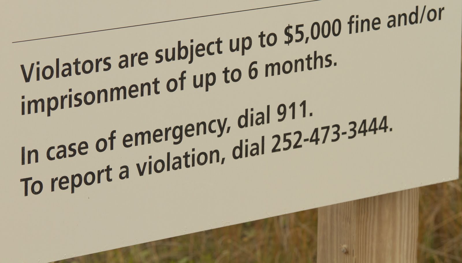 below the mean low tide line “What is Below the Mean Low Tide Line?”