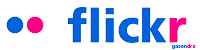 Flickr Logo Font and Color Text Used