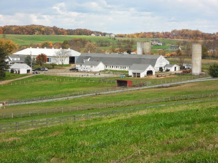 Southwind Farm, Inc. A Premier Horse Boarding Facility located in