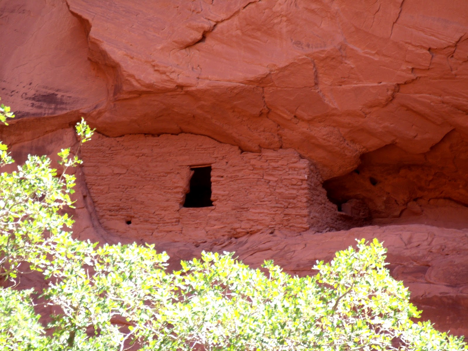 Roving Raders Winslow AZ and Monument Valley Utah