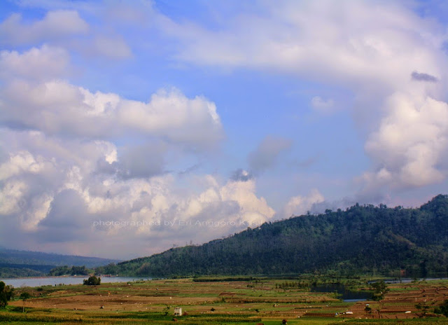 Waduk Selorejo dilihat dari rest area Waduk Selorejo dilihat dari rest area