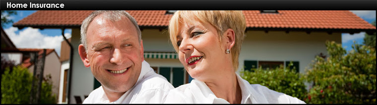 liability insurance How To Get The Best Pet Insurance Deal
