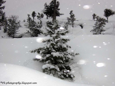 Swat Pakistan