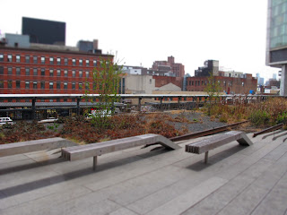 New York _High Line