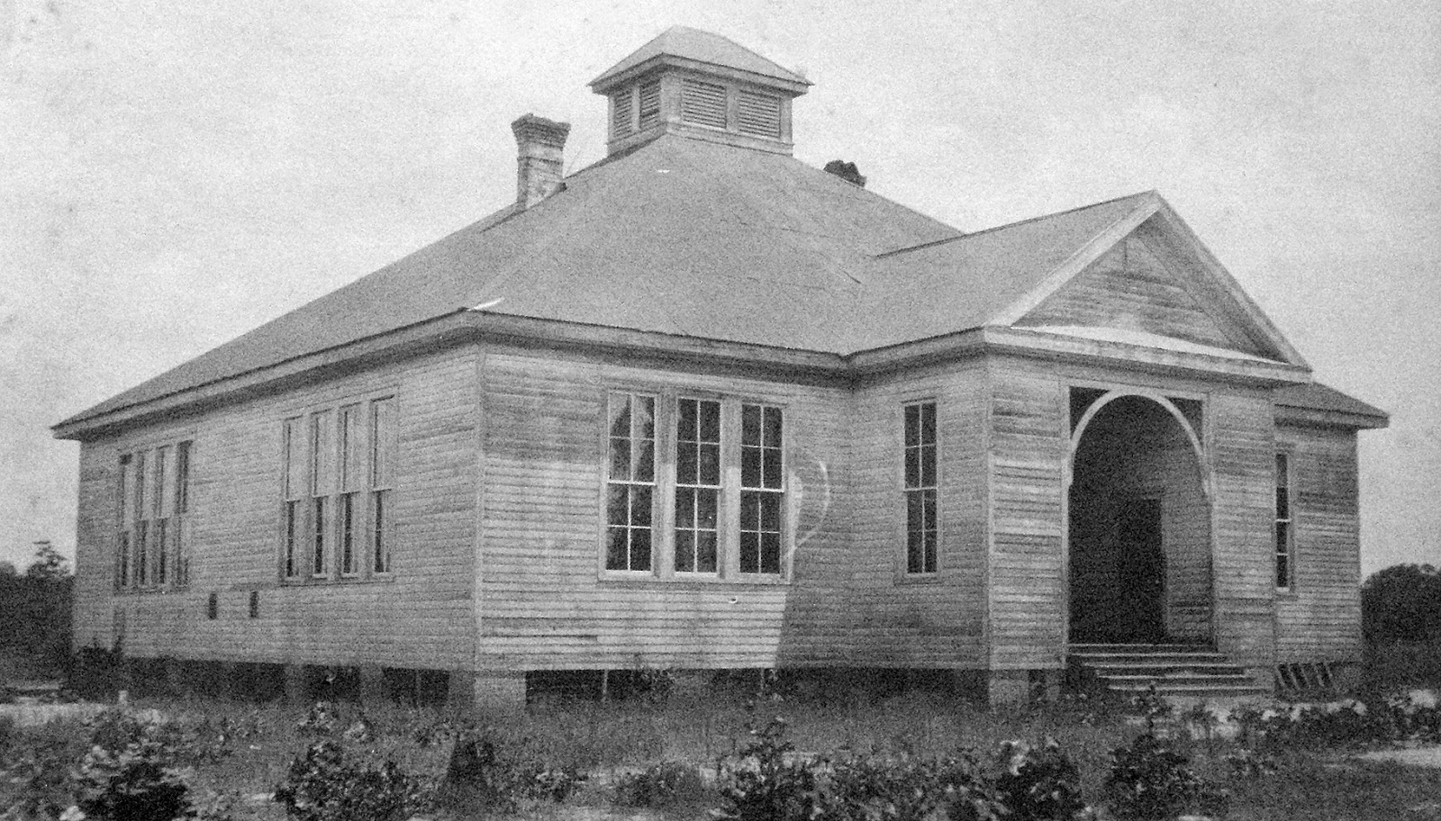 Tammany Family The Original School