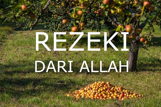 Orang yang Membawa Rezeki Kepada Kita, Bukan Hanya Anak dan Orangtua Selain itu rezeki tidak selalu harus kita cari dengan bekerja, bisa juga kita mendapatkan rezeki ketika menghadapi orang-orang ini yang membawa rezeki kepada kita.