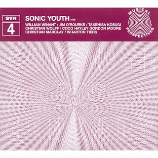 Sonic Youth, Goodbye 20th Century