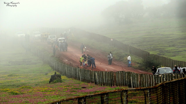 Kaas Plateau - Valley of Flowers