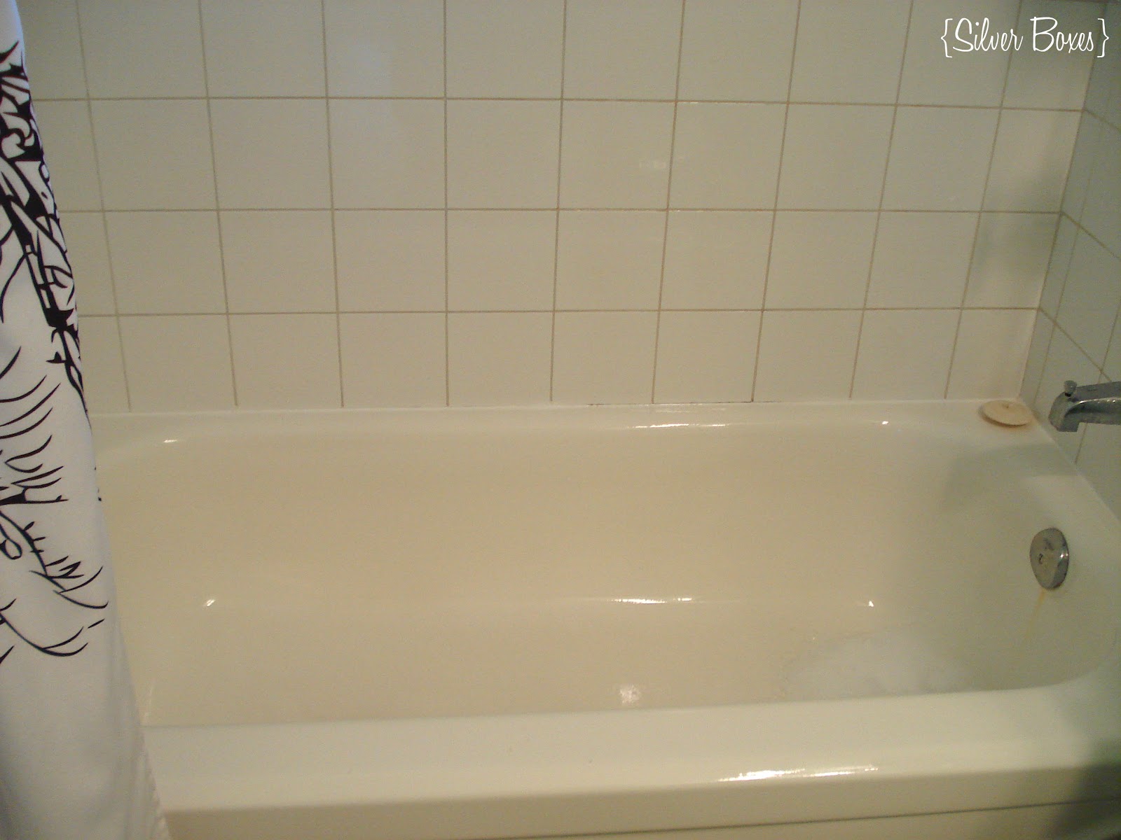 Silver Boxes The Dish Soap Challenge. Week One The Bathtub