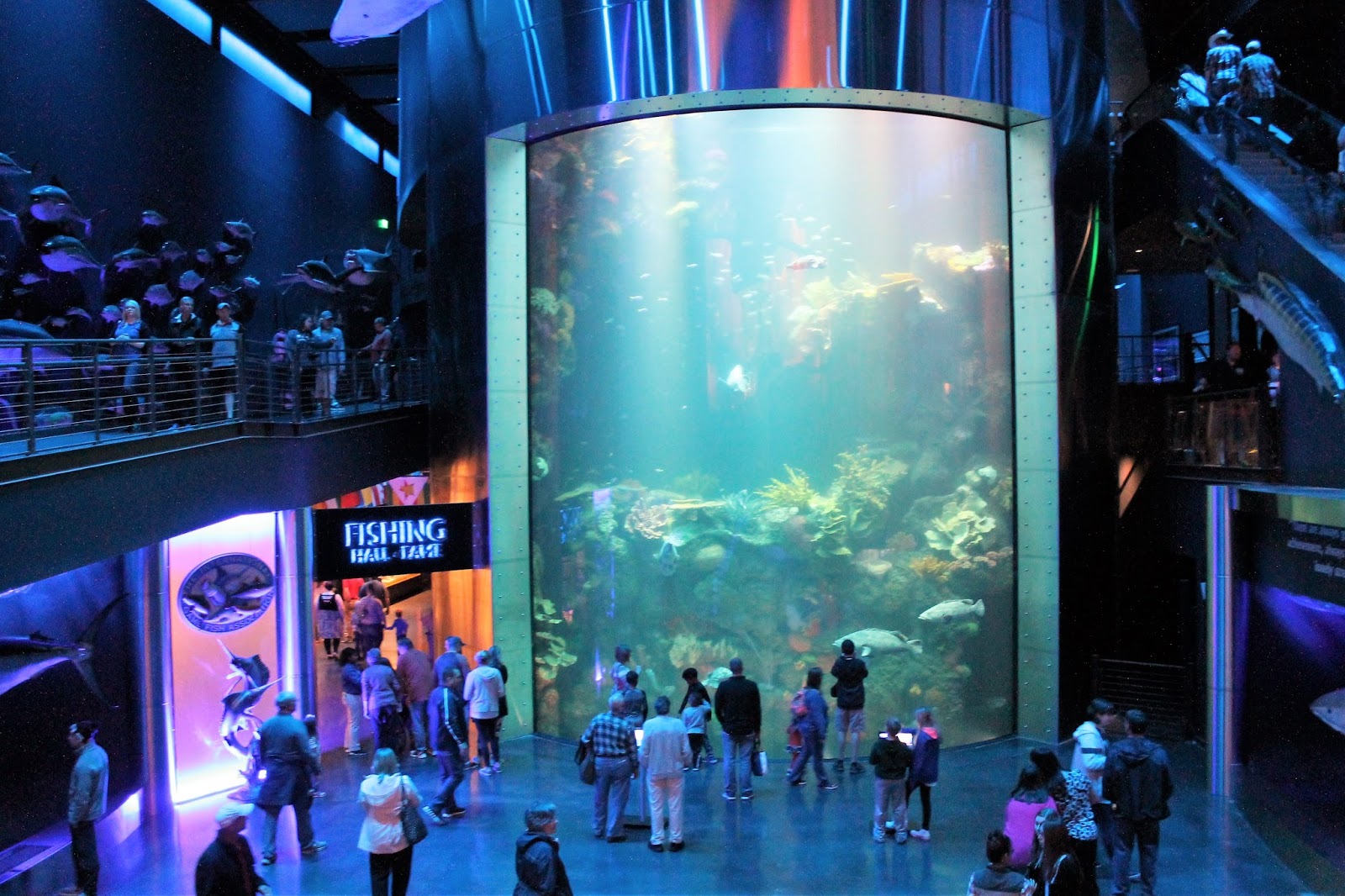 The Missouri Mom Johnny Morris’ Wonders of Wildlife National Museum & Aquarium in Springfield