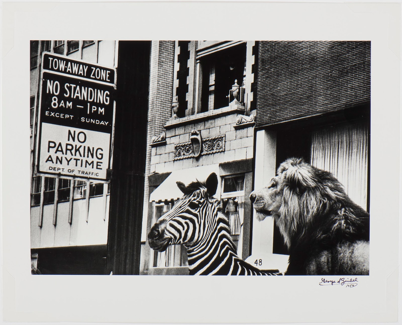 Art Frame MMFA 2015 S. Zimbel