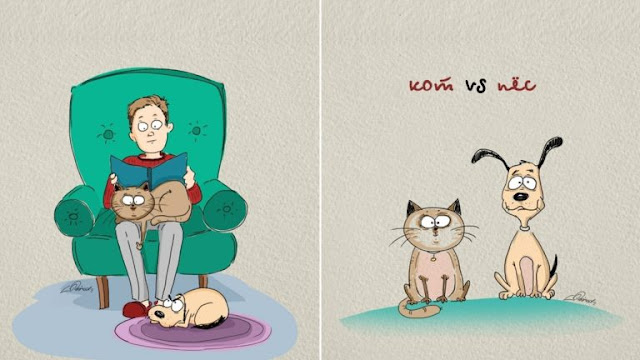 Кот или пёс