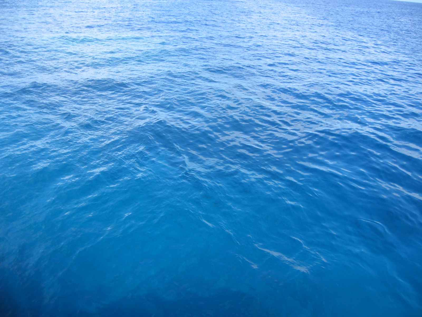 Gambar Air Laut Pasang - Gambar C
