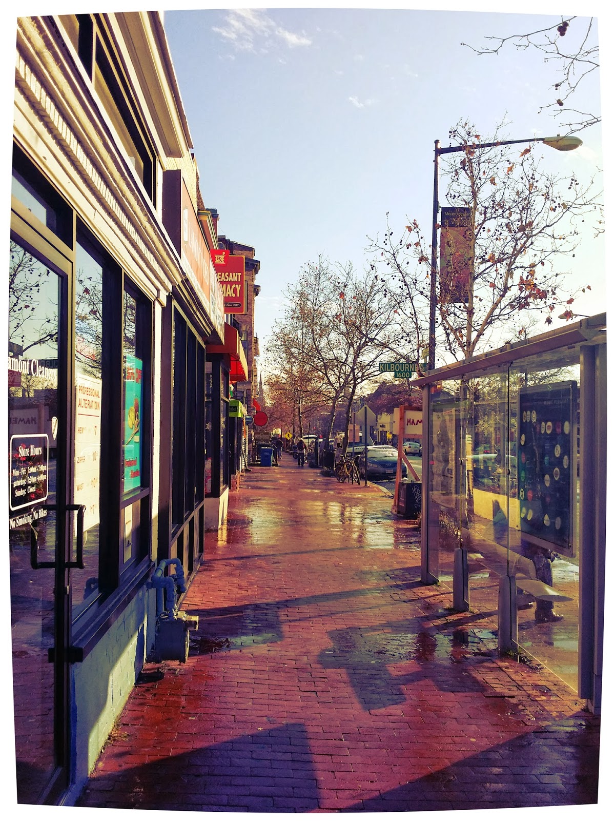 The 42 Mount Pleasant Street NW