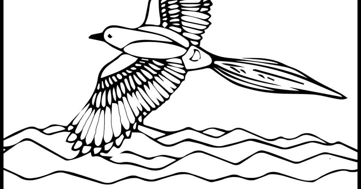 magpie coloring pages jiahajava