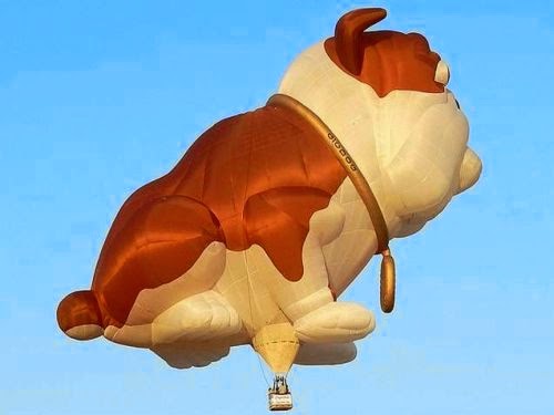 https://www.ramelhobbyshop.com/2022/01/balon-udara-dengan-bentuk-bentuk-unik.html