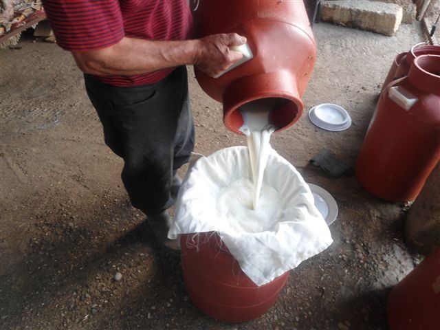 Κατούνα Νέα Ειδήσεις: ΘΑ ΤΟ ΦΕΡΕΙ Ο ΒΛΑΧΟΣ ΤΟ ΤΥΡΙ ...........