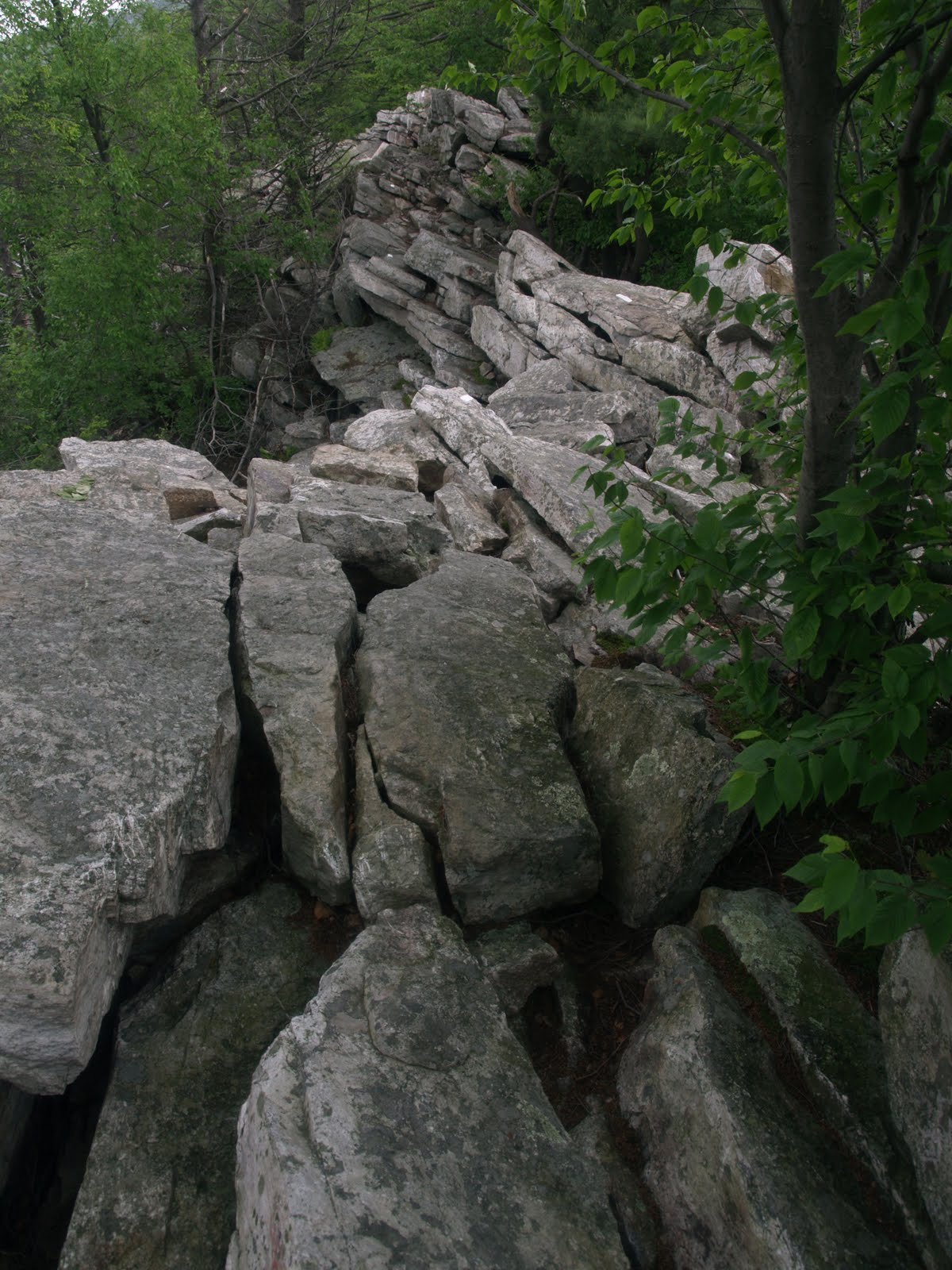 The Appalachian to Maine 2011 Eckville Shelter to