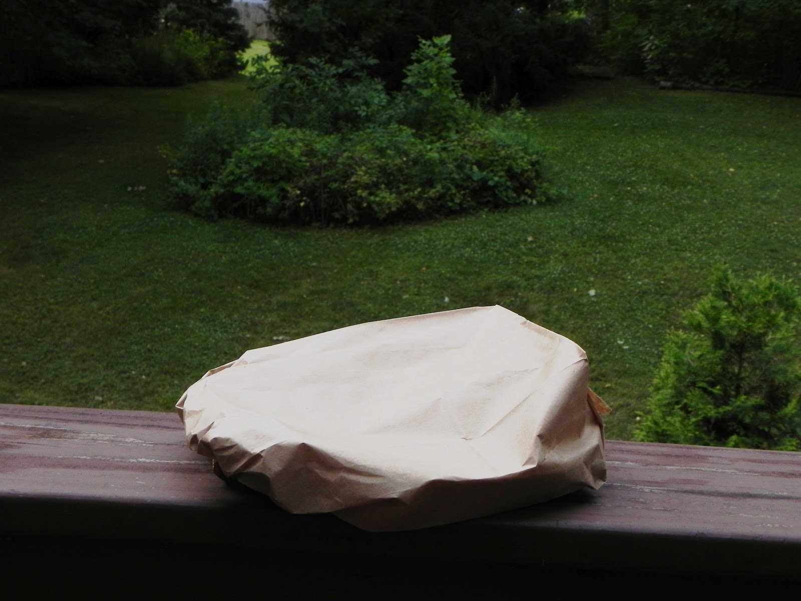 Power of the Flower Today in the Garden...Question Mark Butterfly...garlic flower salt