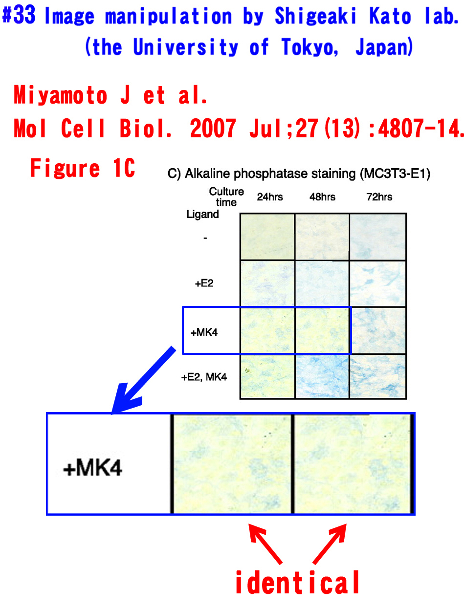 Shigeaki Kato (the University of Tokyo)The pituitary function of androgen receptor constitutes a glucocorticoid productioncircuit.