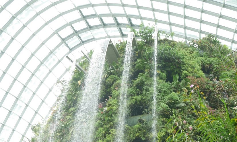 Gardens By the Bay 2016, Cloud Forest and Gift Shop: A Photo Story Part 2