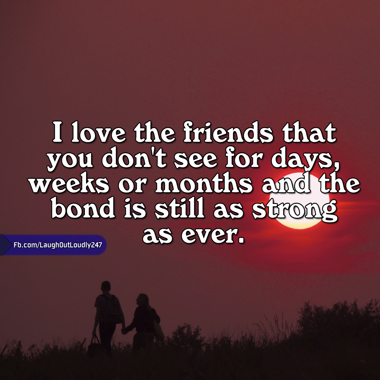 Friendship is one special bond