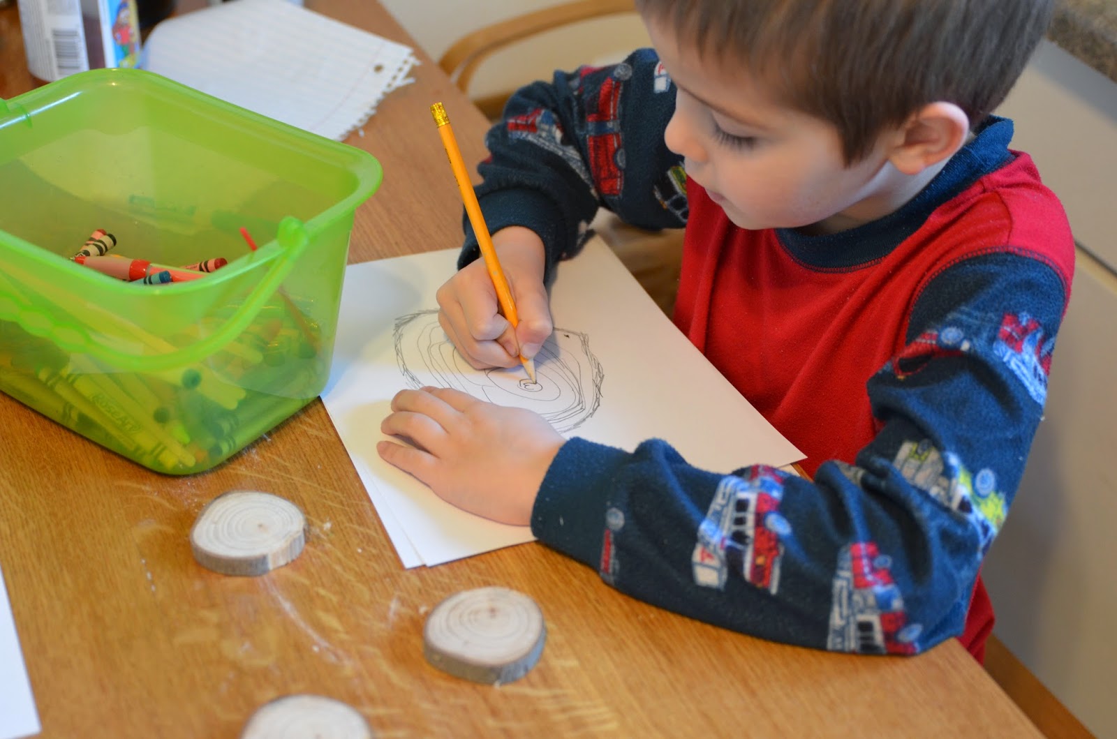 Leading Them To The Rock : Tree Study. Tree Rings K-1 Lesson
