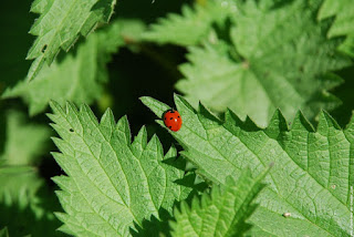 Fabrication du jus d