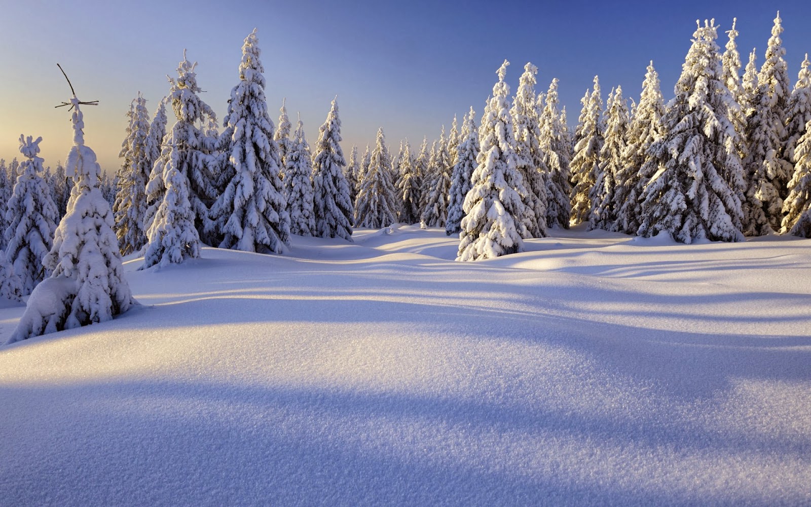 Kinderfragen - Kinder wollens wissen Blog Antworten auf spannenden