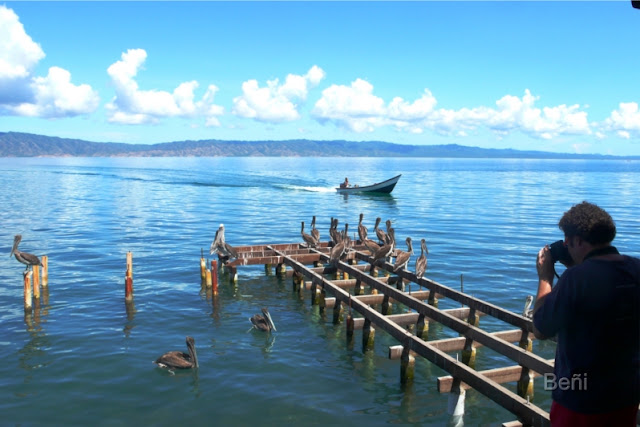 Golfo de cariaco en venezuela
