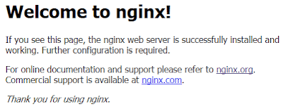 Nginx Web Server - ITSTAFF.web.id