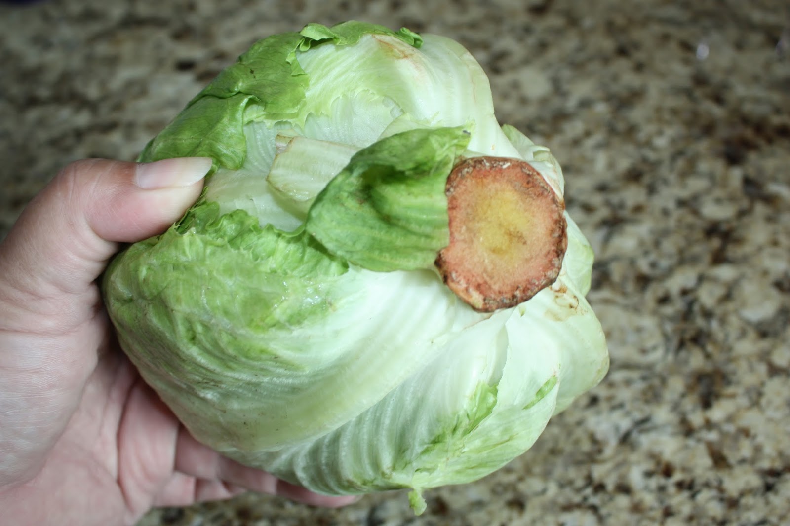 The Righteous Kitchen How To Clean Iceberg Lettuce