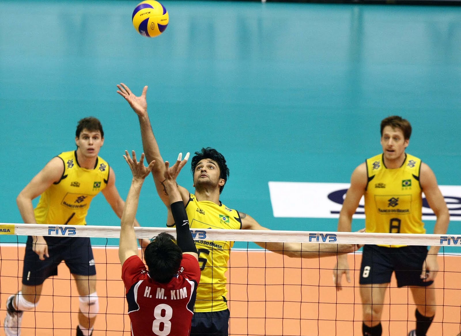 Volei Volei