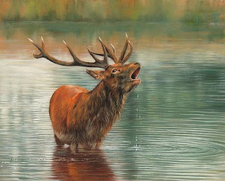 animales-en-agua-pintura-realista