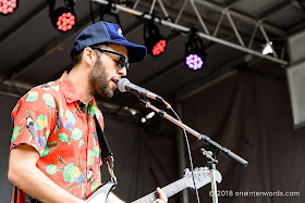 The Dill at Riverfest Elora 2018 at Bissell Park on August 18, 2018 Photo by John Ordean at One In Ten Words oneintenwords.com toronto indie alternative live music blog concert photography pictures photos